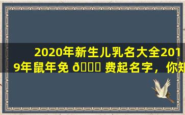 2020年新生儿乳名大全2019年鼠年免 🐕 费起名字，你知道多少